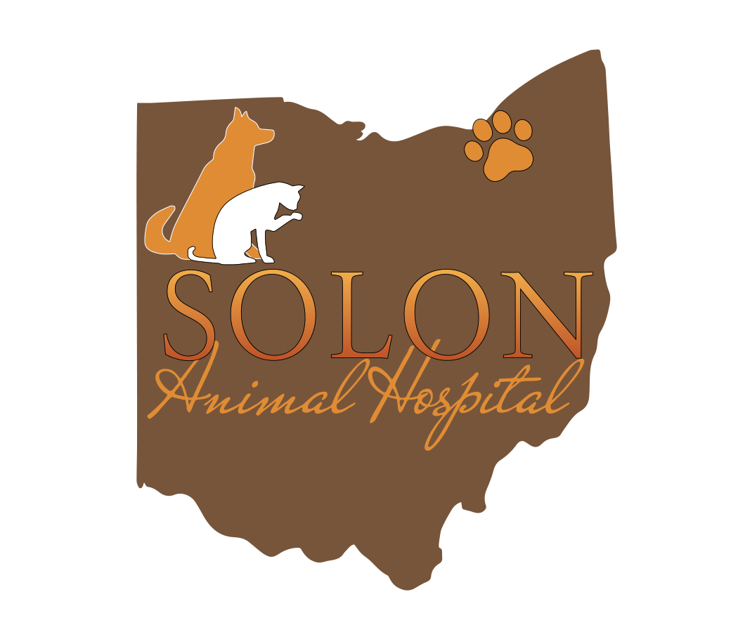 Solon Animal Hospital